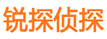 定州市私人侦探